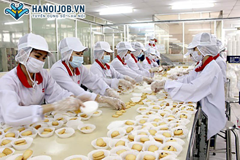 Việc làm ngành công nghệ thực phẩm tại Hà Nội